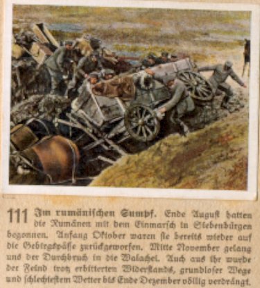 Weltkrieg 1 / World War 1 / Grande Guerre — Im rumänischen Sumpf