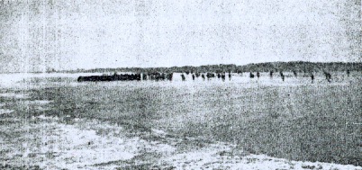 Berlin 1907