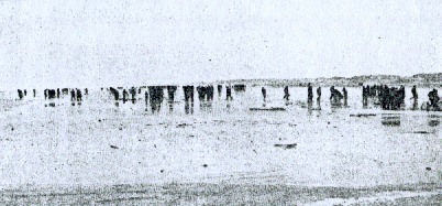 Berlin 1907